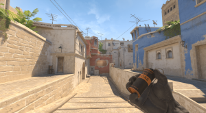 Player holding Smoke Grenade in CS2