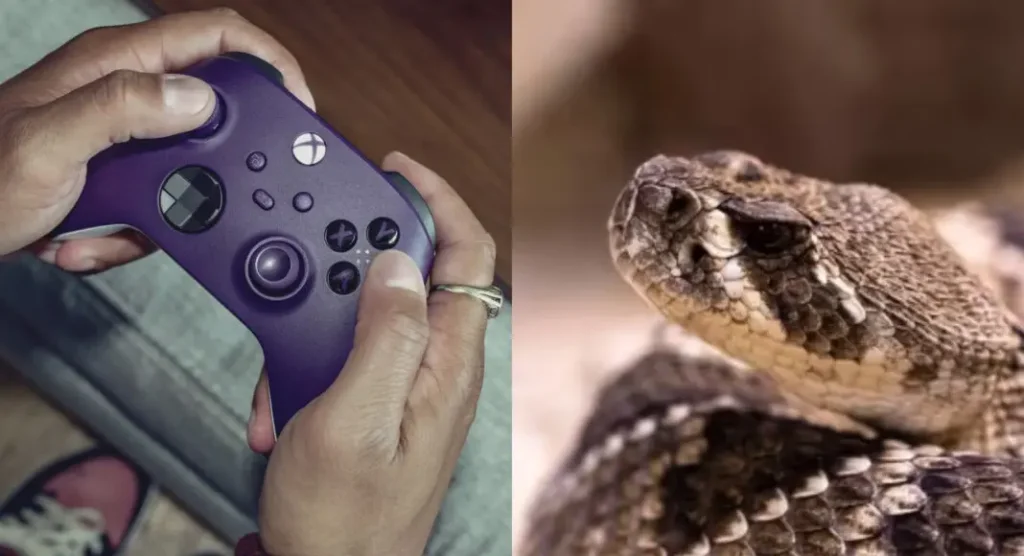 Xbox Controller Purchase on Amazon Leads to Venomous Snake Delivery