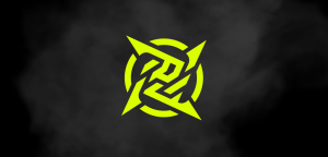 NIP logo