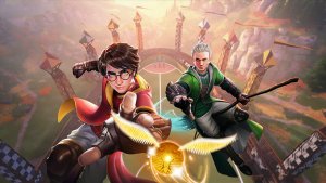 games quidditch champions draco and harry chase snitch web landscape