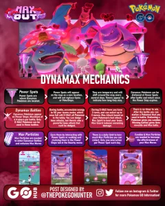 dynamax additional info 1